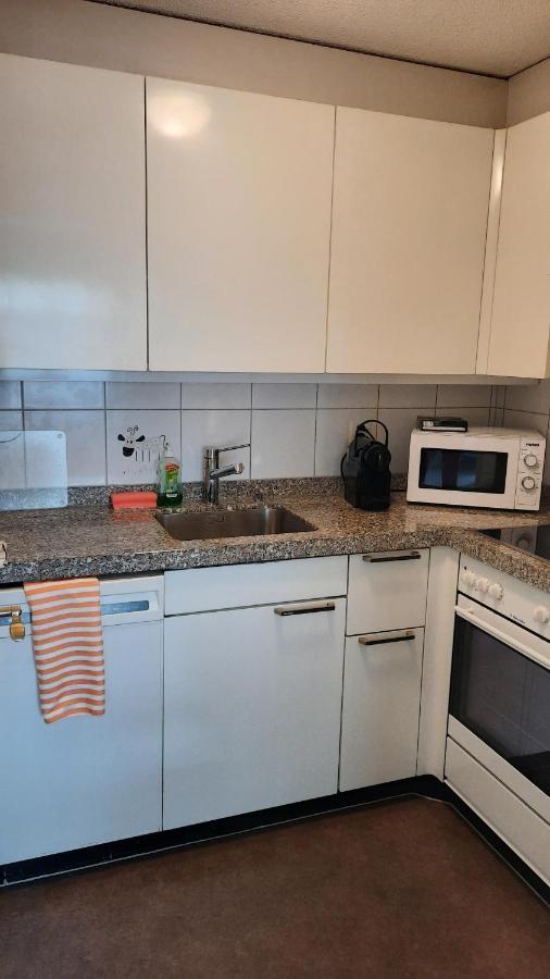 Holiday Accommodation - Swimming Pool Available 다보스 외부 사진